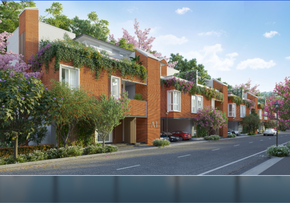 Modern Townhouse